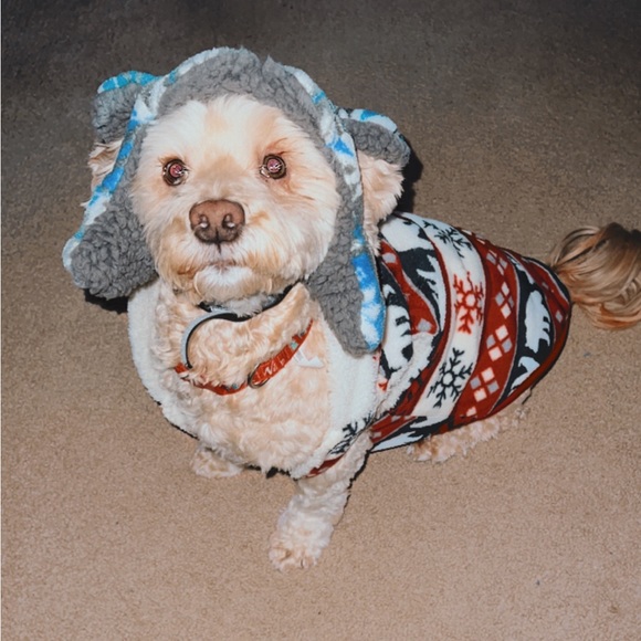 Meet your Posher, Alexandra - Picture 1 of 1